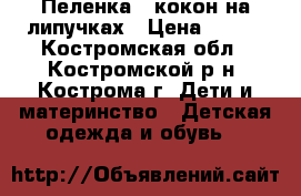 Пеленка - кокон на липучках › Цена ­ 300 - Костромская обл., Костромской р-н, Кострома г. Дети и материнство » Детская одежда и обувь   